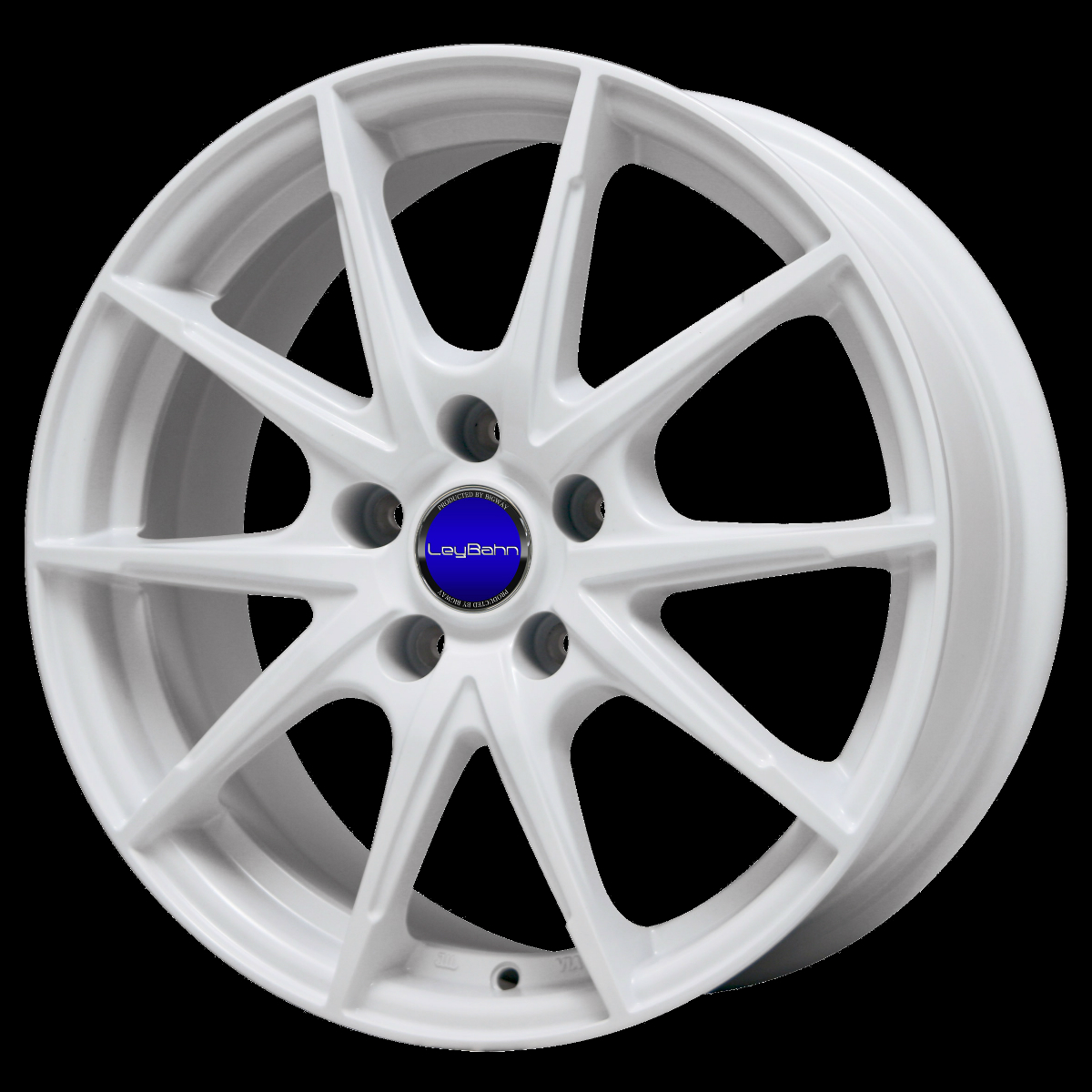 LeyBahn WGS| 株式会社ビッグウエイ 