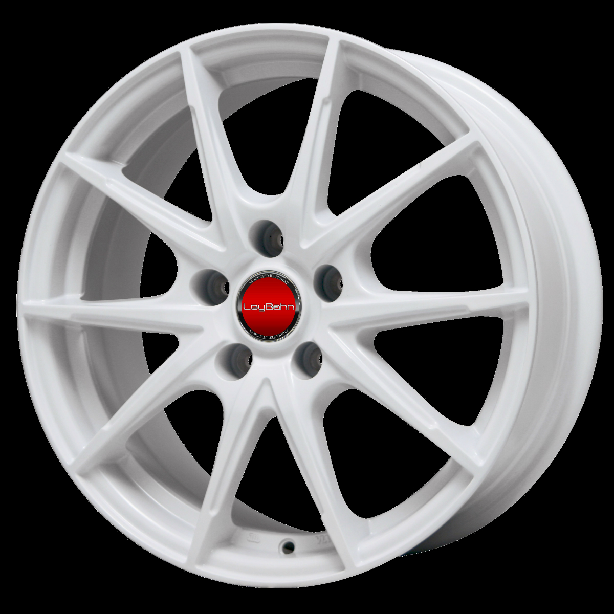 LeyBahn WGS| 株式会社ビッグウエイ