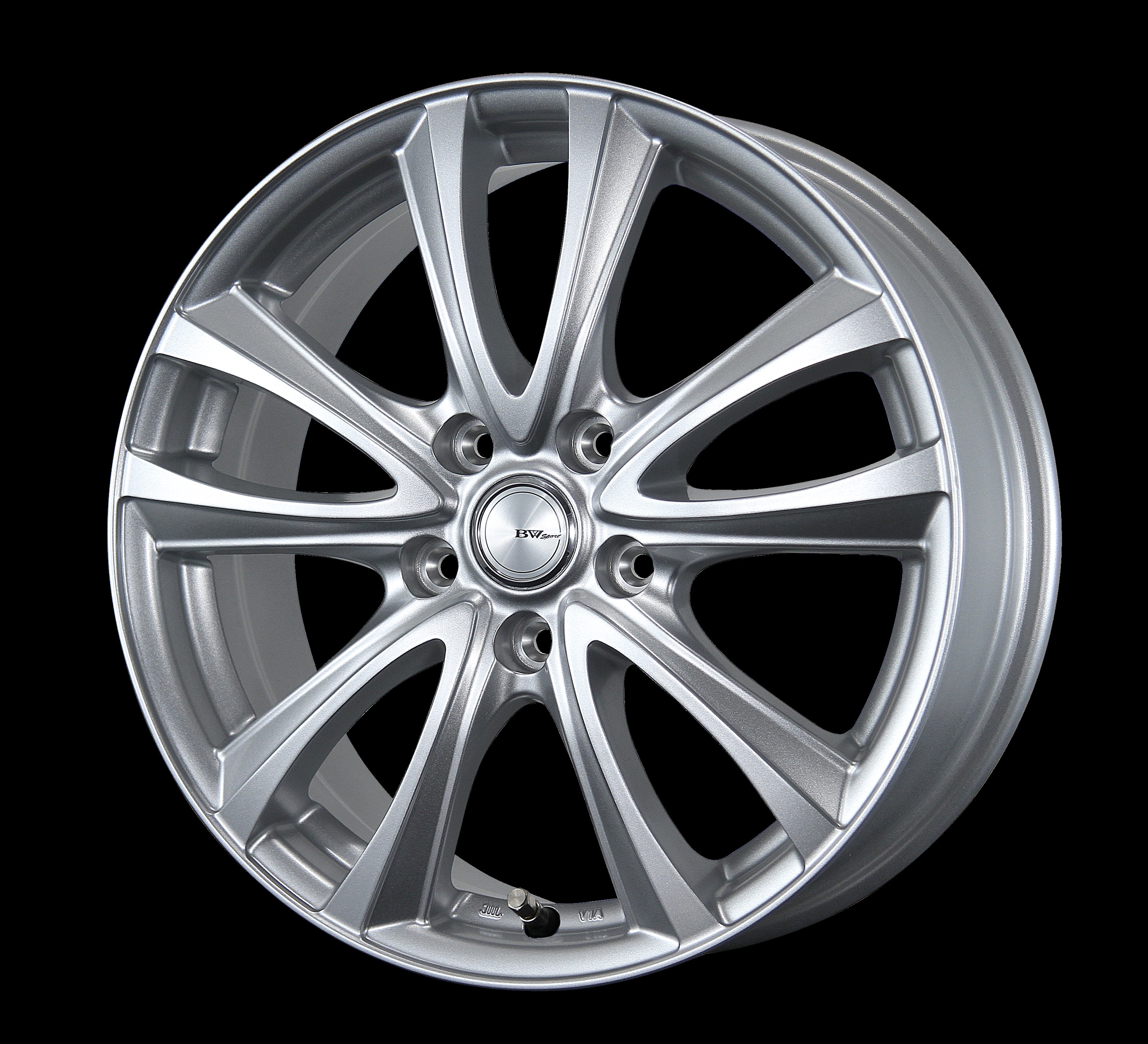 BW Sport WT5 株式会社ビッグウエイ